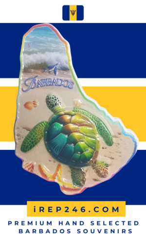 Sea Turtle Barbados